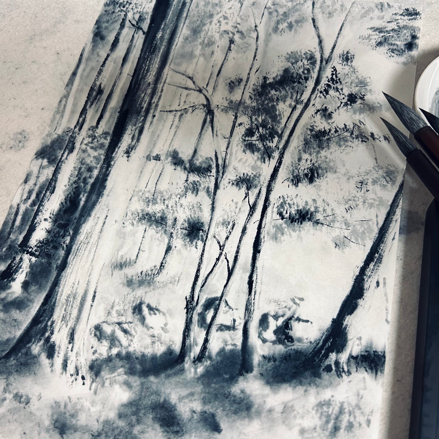 Monthly Workshop - April 2026 "Light in the forest"