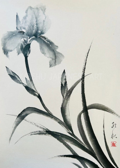 Monthly Workshop - December 2025 "Iris"
