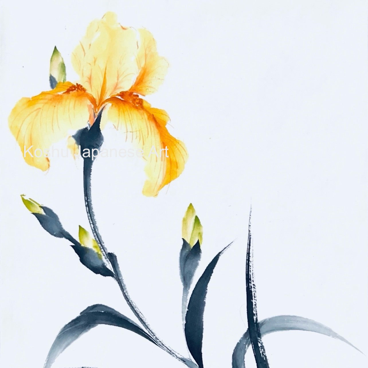 Monthly Workshop - December 2025 "Iris"