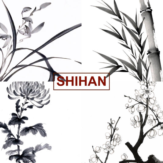 Sumi e Shihan training course